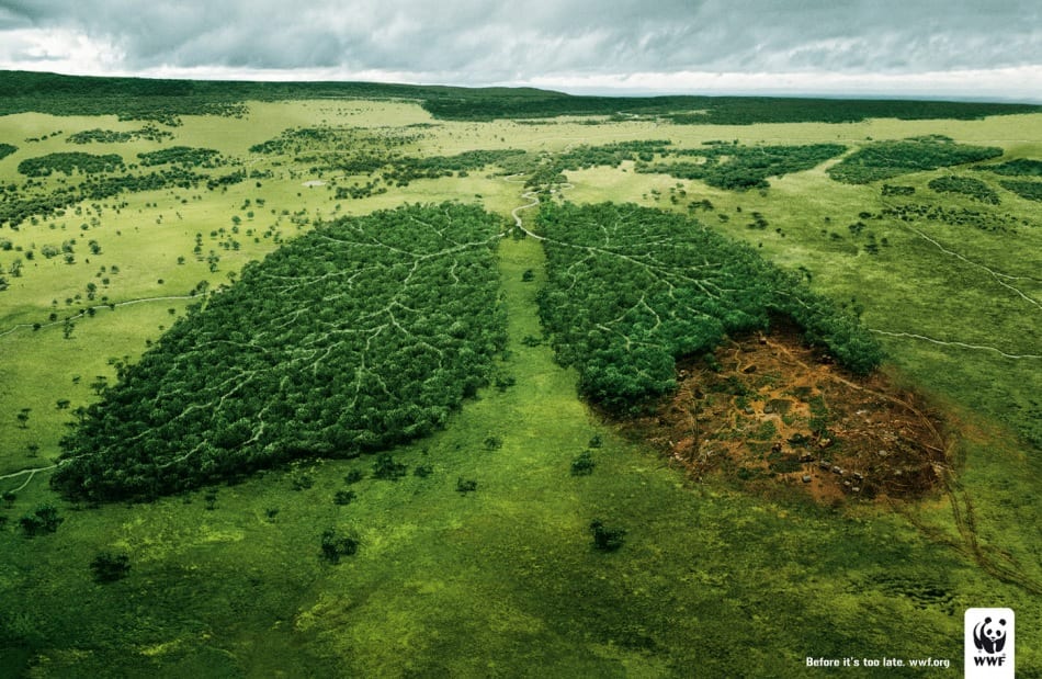 climate change tobacco Earth Day 2015 – The Unforeseen Consequences of Tobacco – ASH > Action on  Smoking & Health